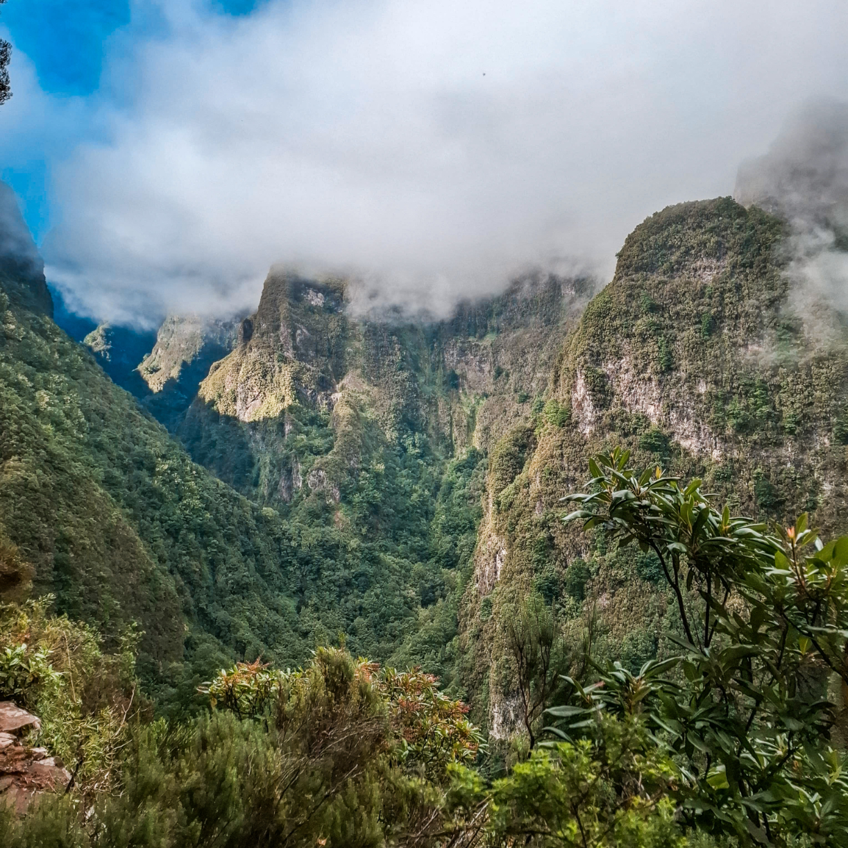 52a890e1-8502-4bb7-8d28-5522f43b48b4