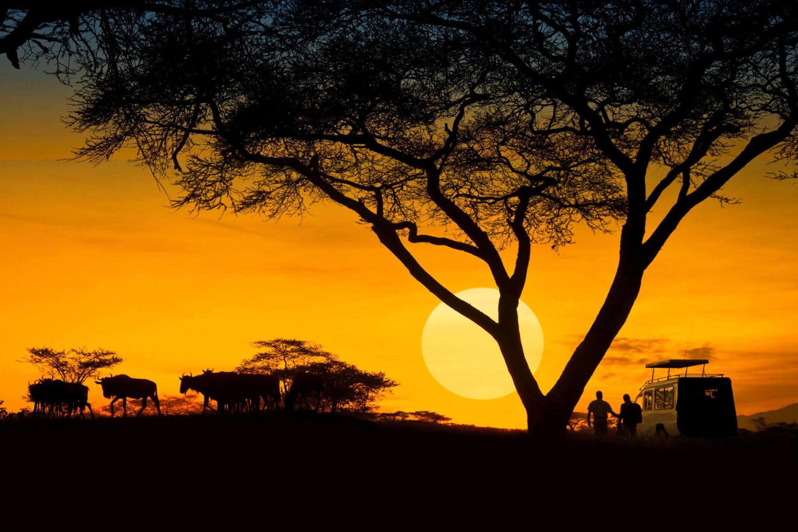 Groepsreis Tanzania (18 juli – 29 juli 2026)