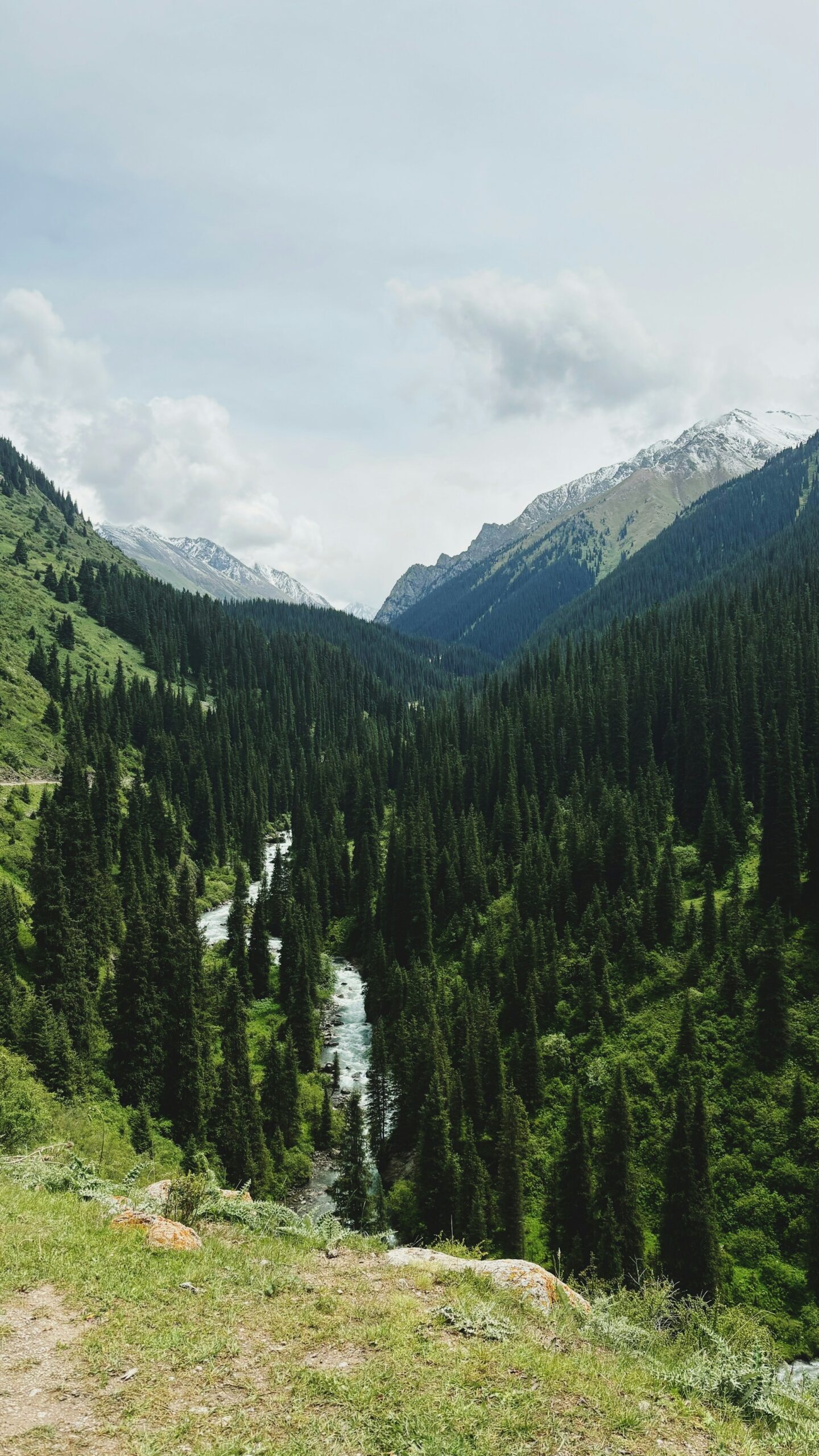altyn-arashan-unsplash