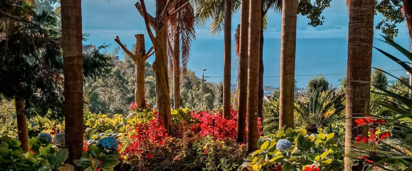 81cec5a4-7e05-4b46-b089-a1eb071ec166